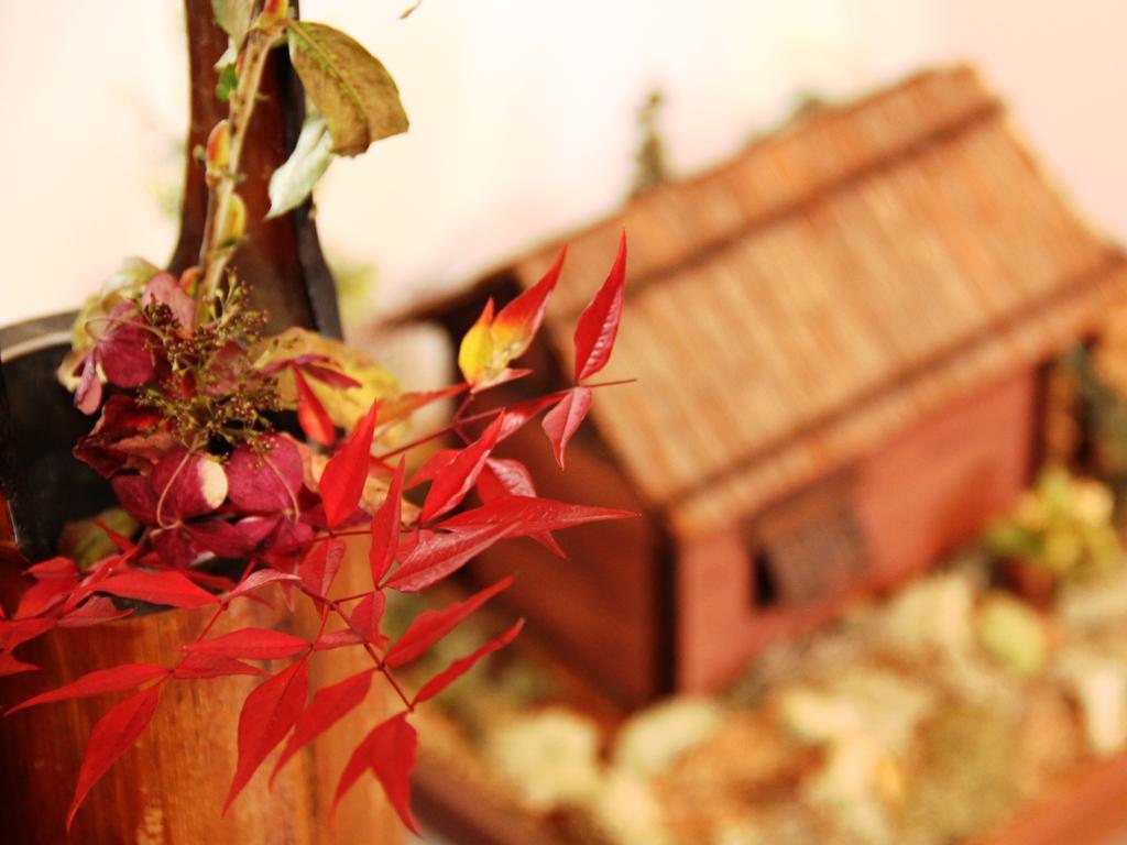 Hatoguruma Kawabata Nozawaonsen Ngoại thất bức ảnh